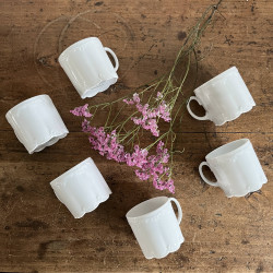 Tasses à café en porcelaine blanche (lot de 6) - Classic Rose Collection - Rosenthal - Monbijou
