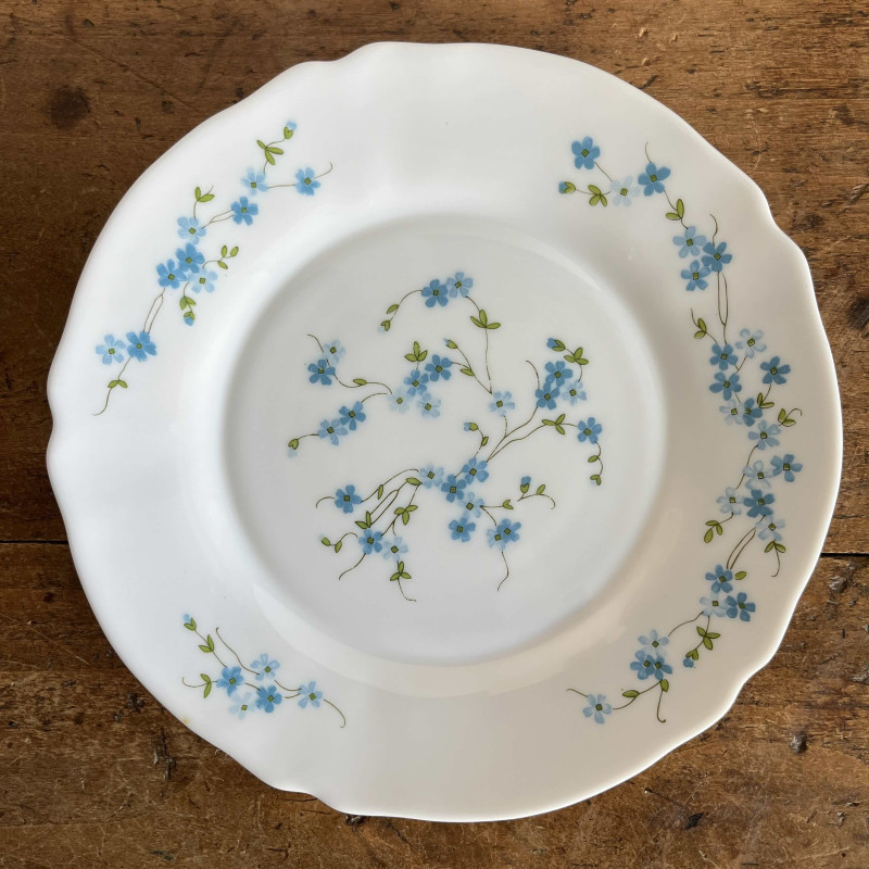 Assiette plate - Arcopal - Véronica