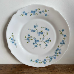 Assiette plate - Arcopal - Véronica