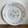Assiette plate - Arcopal - Véronica