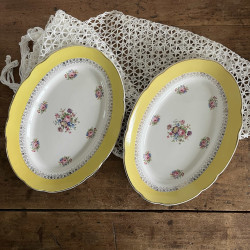 Plat ovale - Digoin Sarreguemines - Graziella