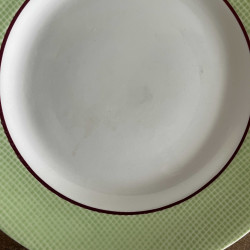 Assiettes plates (lot de 10) - Salins - Isoard