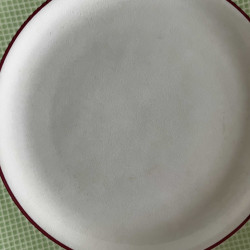 Assiettes plates (lot de 10) - Salins - Isoard