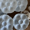 Assiettes à huîtres (lot de 6) - Sarreguemines - Bleu