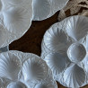 Assiettes à huîtres (lot de 6) - Sarreguemines - Bleu