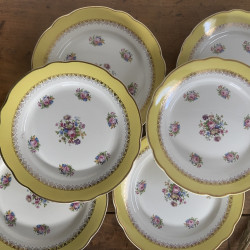 Assiettes plates en porcelaine (lot de 6) - Digoin Sarreguemines - Graziella