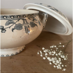 Soupière ou légumier - Sarreguemines U&Cie - Noisettes