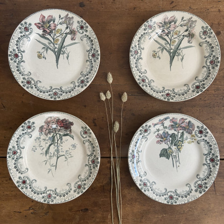 Assiettes plates (Lot de 4) - Terre de fer - HB&Cie - Fleurs Coupées