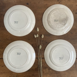 Assiettes plates (Lot de 4) - Terre de fer - HB&Cie - Fleurs Coupées