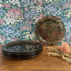 Assiettes à dessert Vintage (lot de 5) - Vereco