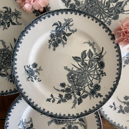 Assiette plate - Ste Amandinoise - Margot