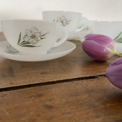 Tasses à café & sous-tasses (Lot de 5) - Arcopal - Narcisse
