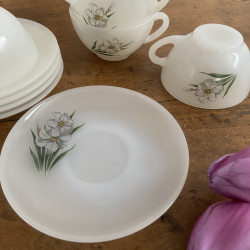 Tasses à café & sous-tasses (Lot de 5) - Arcopal - Narcisse