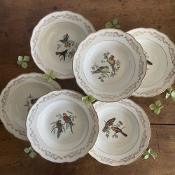 Assiettes creuses en porcelaine (lot de 6) - Gien - Moineaux de Paris