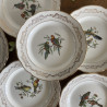 Assiettes plates en porcelaine (lot de 6) - Gien - Moineaux de Paris