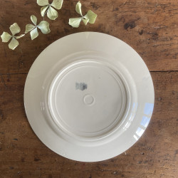 Assiettes plates (lot de 6) - Badonviller - Demi-porcelaine