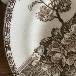 Assiettes à dessert (lot de 4) - Grand Dépôt E.Bourgeois - Choisy-Le-Roi