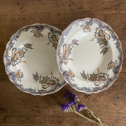 Duo d'assiettes creuses - Vieux Salins - Chevreuse