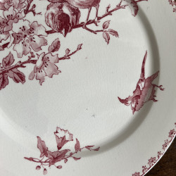 Assiettes plates (lot de 6) - Sarreguemines & Digoin - Favori - Lot 1
