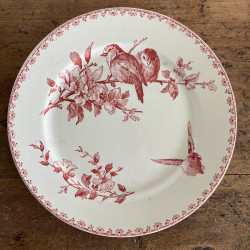 Assiettes plates (lot de 6) - Sarreguemines & Digoin - Favori - Lot 2