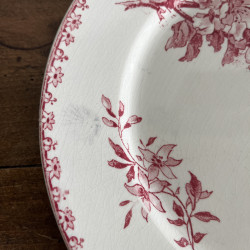Assiettes plates (lot de 6) - Sarreguemines & Digoin - Favori - Lot 2