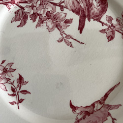 Assiettes plates (lot de 6) - Sarreguemines & Digoin - Favori - Lot 2