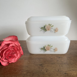Beurrier - Arcopal - Roses