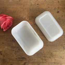 Beurrier - Arcopal - Roses