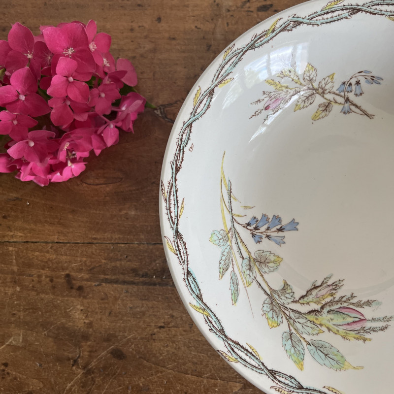 Coupe à fruits - Polychrome - Creil & Montereau