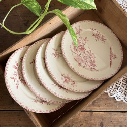 Lot de 6 Assiettes Plates Porcelaine Service de Table en Ceramique