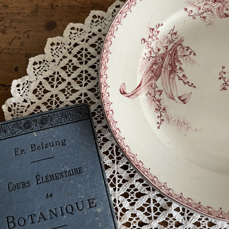Plat rond - Sté Amandinoise - Muguet