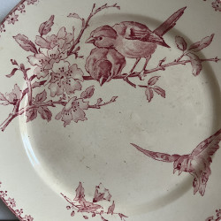 Plat Piédouche - Sarreguemines & Digoin - Favori (1)