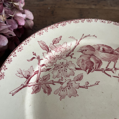 Plat Piédouche - Sarreguemines & Digoin - Favori (1)