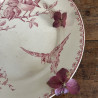 Plat Piédouche - Sarreguemines & Digoin - Favori (1)