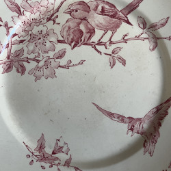 Plat Piédouche - Sarreguemines & Digoin - Favori (1)