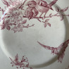 Plat Piédouche - Sarreguemines & Digoin - Favori (1)