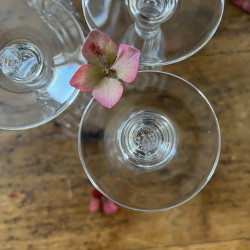 Flûtes à Champagne (lot de 5) - Baccarat - Picadilly