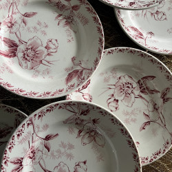 Assiettes plates (lot de 8) - Terre de Fer - 2264 - France