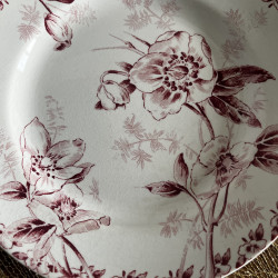 Assiettes plates (lot de 8) - Terre de Fer - 2264 - France