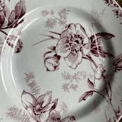 Assiettes plates (lot de 8) - Terre de Fer - 2264 - France
