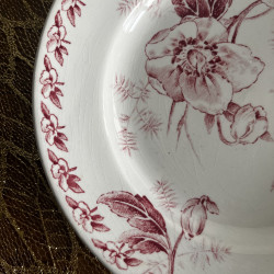Assiettes plates (lot de 8) - Terre de Fer - 2264 - France